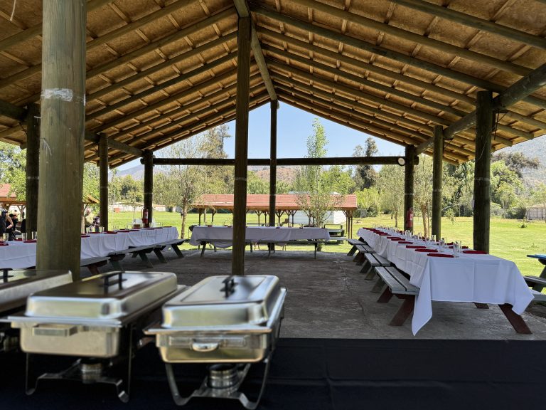 Buffet de carnes y ensaladas 300 personas